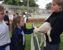 Junior School Show and Tell 