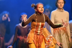 Caoilfhionn O'Reilly as young Simba in the Dundalk Grammar School's production of 'The Lion King'. Photo: Ken Finegan/www.newspics.ie