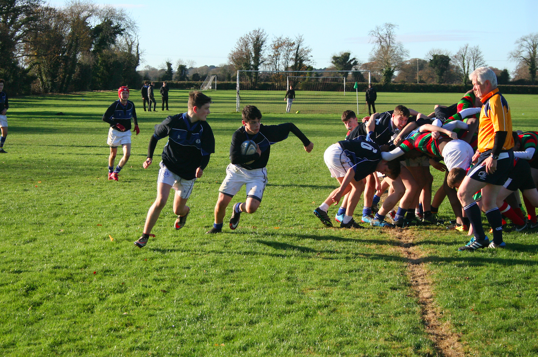 Leinster schools rugby betting south resiko bisnis forex